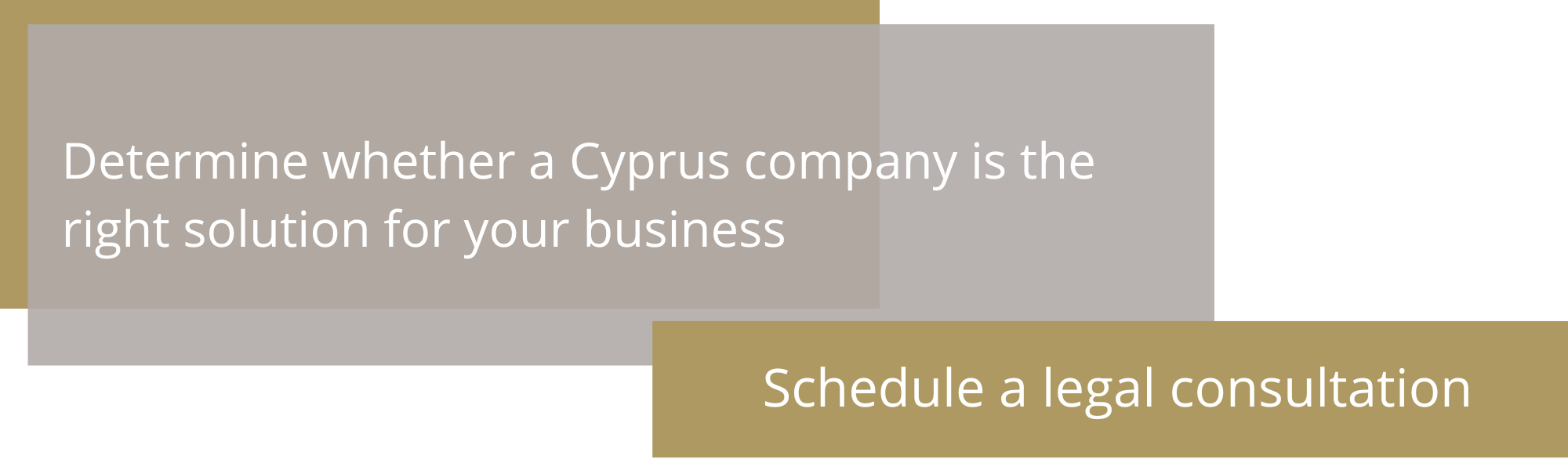 Company in Cyprus