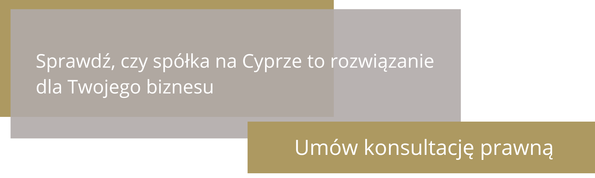 spółka na Cyprze